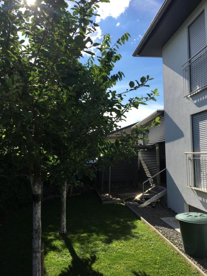 Peter'S Ferienwohnung Im Souterrain Neuried  Экстерьер фото